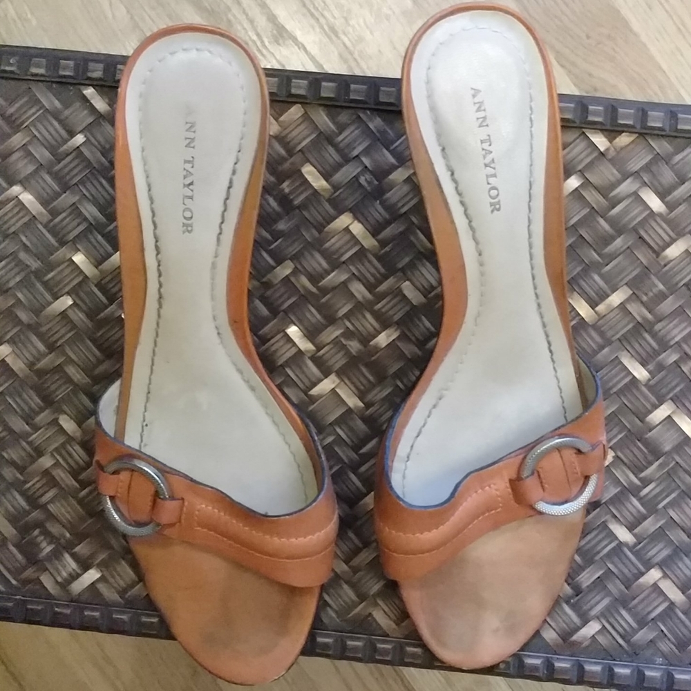 Ann Taylor Slip Sandals